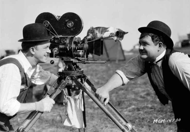 laurel-hardy-and-a-cat-on-the-camera